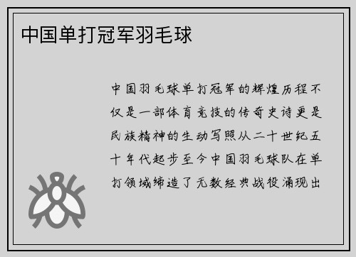 中国单打冠军羽毛球